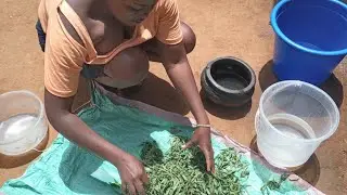 African village life/Cooking Traditional African Vegetables