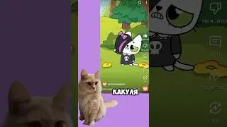 Кто смешнее шутит?! 🐱 