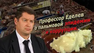 Профессор Еделев о пальмовой эпидемии и коррупции. 