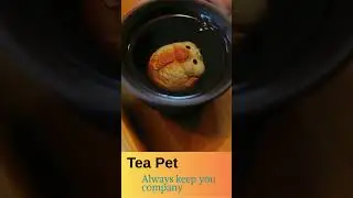 Tea Pet Always Keep You Company #youtubeshorts #shorts #video