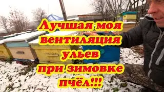 ВЕНТИЛЯЦИЯ УЛЬЕВ ПРИ ЗИМОВКЕ ПЧЁЛ РАЗЛИЧНЫХ КОНСТРУКЦИЙ, 100% ПЕРЕЗИМУЮТ СДЕЛАЙ ЭТО ПЧЕЛОВОД.