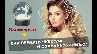 Семья на грани развода / Как сохранить семью / Как вернуть чувства жены!