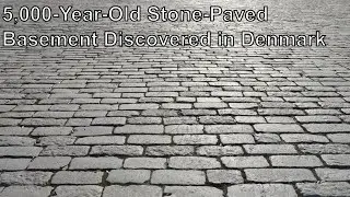 5,000-Year-Old Stone-Paved Basement Discovered in Denmark
