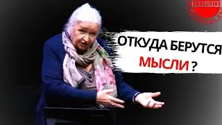 ОТКУДА БЕРЕТСЯ МЫСЛЬ ТАТЬЯНА ЧЕРНИГОВСКАЯ ЛЕКЦИЯ