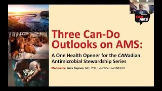 Three Can-Do Outlooks on AMS