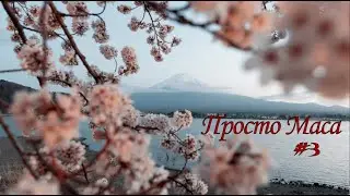 Просто Маса (#3) - Борис Акунин