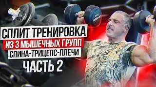 Сплит тренировка из 3 мышечных групп. Грудь-бицепс-ноги. Спина-трицепс-плечи. Часть 2.