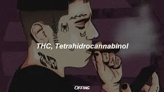 DUKI x PAPO - THC 🚬