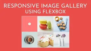 Responsive Image Gallery Using Flexbox | CSS3 Flexbox