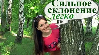 Сильное склонение прилагательных. Уроки немецкого. Немецкий язык.