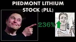TESLA Signs 5 Year Binding Contract with Piedmont Lithium (PLL) - 230% Spike!