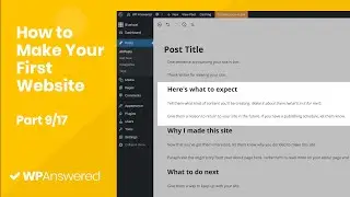 What to Write About in Your First Post | How to Make Your First Website with WordPress (Part 9/17)