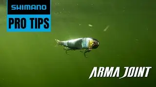 How To Fish a Swimbait: ARMAJOINT 190SS FLASH BOOST | Shimano Pro Tips