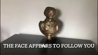 Hollow Face Illusions