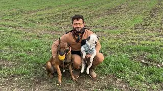 LATTE İLE AKŞAM SPORU ENERJİ BİTMİYOR #eyüpdoğan #belçikakurdu #belgianmalinois #hayvanlar #doberman