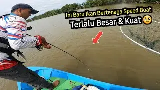 Inilah Tarikan Monster Terkuat yg Sulit dilupakan Seumur Hidup -- Mancing Ikan Besar di Muara