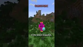 i think mojang made an oopsie