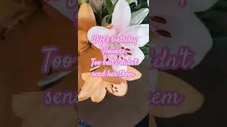 Flowers my wife got for her birthday are truly stunning