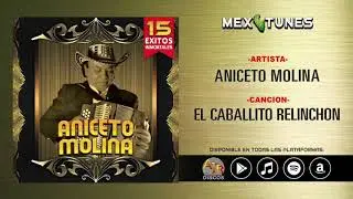 Aniceto Molina - 15 Exitos Inmortales (Disco Completo)