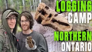 Exploring Pre 1910 Lumber Camps In Search of Relics | Log Hammers Recovered Metal Detecting!