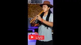 Live Flute Andean Music From Studio