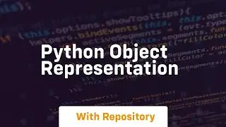 python object representation