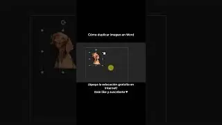 Cómo duplicar una imagen en Word 