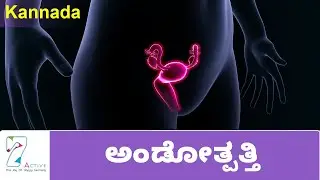 OVULATION & THE MENSTRUAL CYCLE | KANNADA