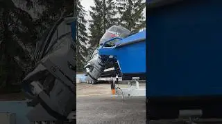 Синяя Птица 