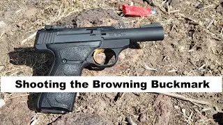 Browning Buckmark - 2023