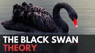 BLACK SWAN Theory | Understanding The Next CATASTROPHE