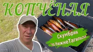 Давно не делал, копчёная скумбрия.Лакомство Пенсионера из Тагила. Нижний Тагил.