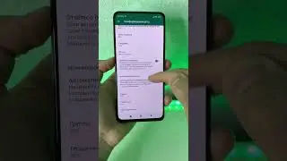Как включить невидимку в What’s App? 