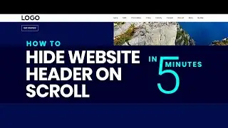 Scroll to hide and reveal website header in WordPress