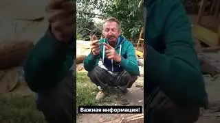 Спорт