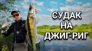 СУДАК НА ДЖИГ-РИГ. Проводка на пассивного судака