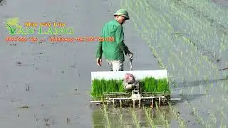 Máy Cấy Lúa Mini Tại Việt Nam - Mini Rice Transplanting Machine Made In VietNam