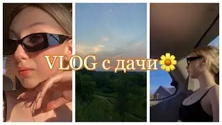 VLOG: отдыхаю на даче//знакомлю Вас со своей семьей