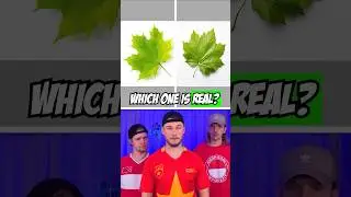Real vs AI | Part 7