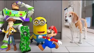 Animations in REAL LIFE vs Funny Dogs 🥳 |