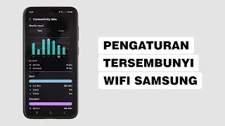 Cara Mengaktifkan Pengaturan Rahasia Di Wifi HP Samsung - Connectivity Labs Samsung