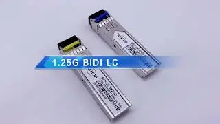 SFP Transceiver