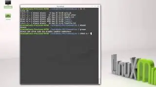 Permissions (Linux Command Line)