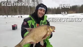 Бешеный клев леща! Мой рекордный лещ. Лучшая рыбалка.