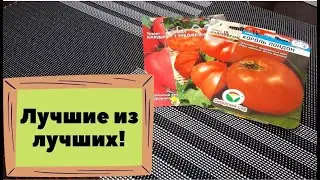 Эти семена томатов я купила в первую очередь!!! Обзор семян самых сочных и мясистых томатов