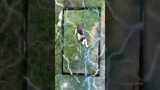 ⚡️😎(edit) #тренды #cats #cutecats #funnycatsvideos #врекомендации #edits