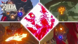 All Bosses - The Legend of Zelda: Breath of the Wild (Wii U)