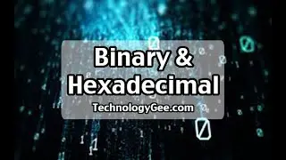 Binary & Hexadecimal | Introduction to IT Course