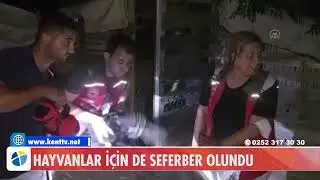 HAYVANLAR İÇİN DE SEFERBER OLUNDU