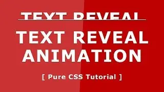 Online Tutorial for Text Reveal Animation in CSS With Demo and Free Source Code Download